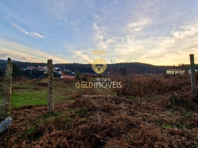 Quinta T0 para Venda em Santa Maria de Sardoura Foto 19