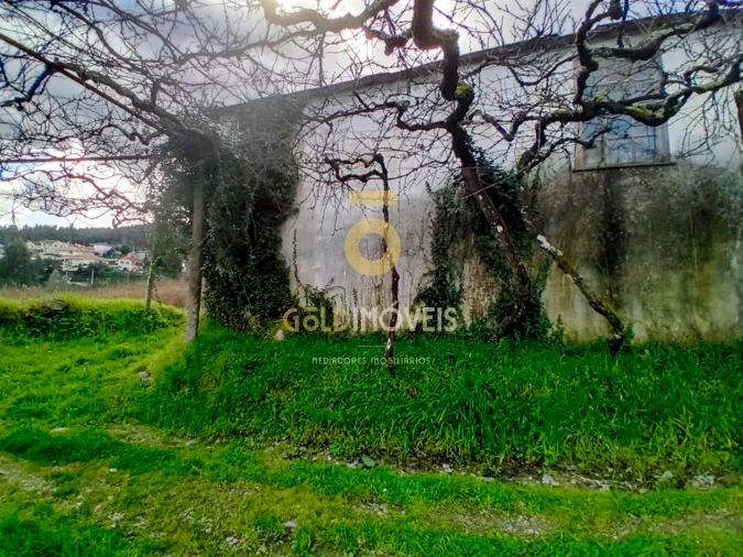 Quinta T0 para Venda em Santa Maria de Sardoura Foto 3