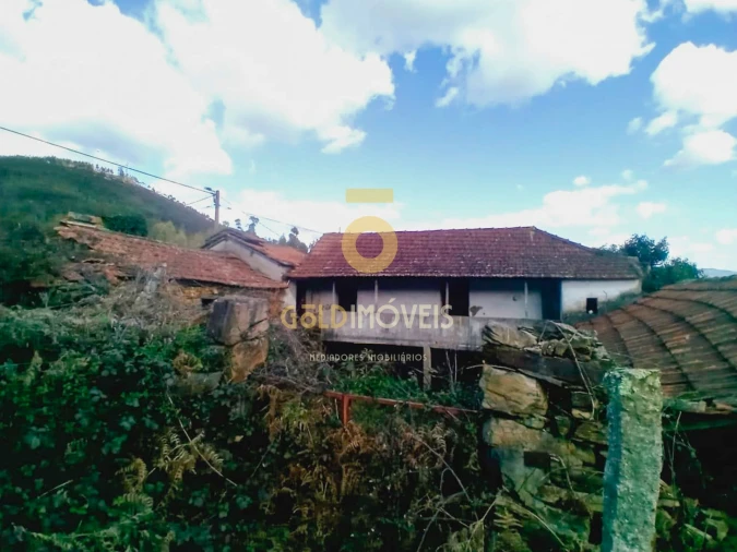 Quinta T0 para Venda em Santa Maria de Sardoura Foto 24