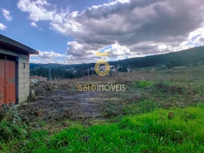 Quinta T0 para Venda em Santa Maria de Sardoura Foto 15