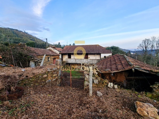 Quinta T0 para Venda em Santa Maria de Sardoura Foto 17