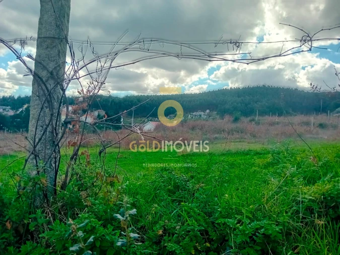 Quinta T0 para Venda em Santa Maria de Sardoura Foto 25