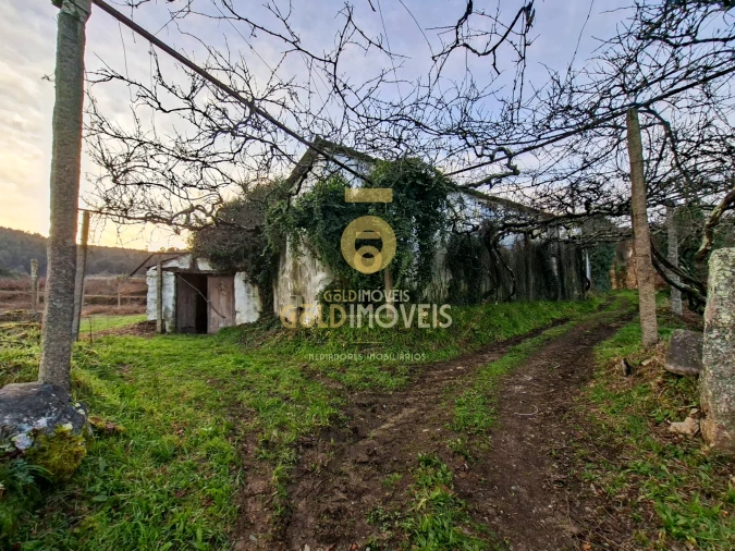 Quinta T0 para Venda em Santa Maria de Sardoura Foto 4