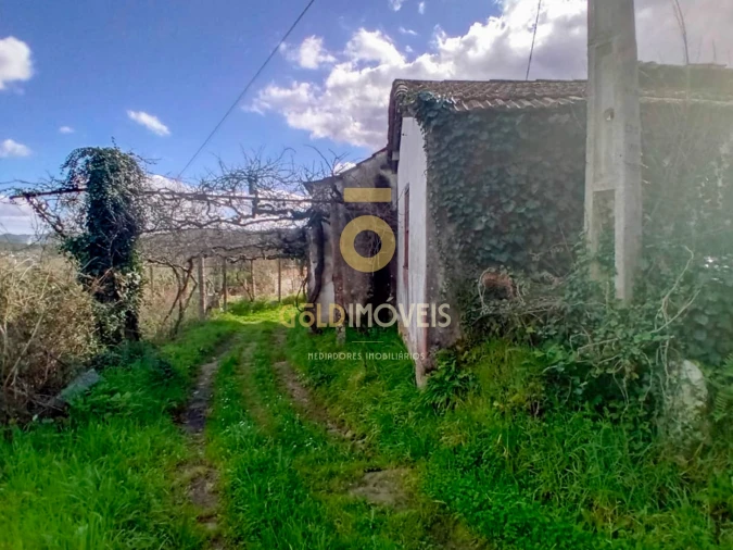 Quinta T0 para Venda em Santa Maria de Sardoura Foto 17