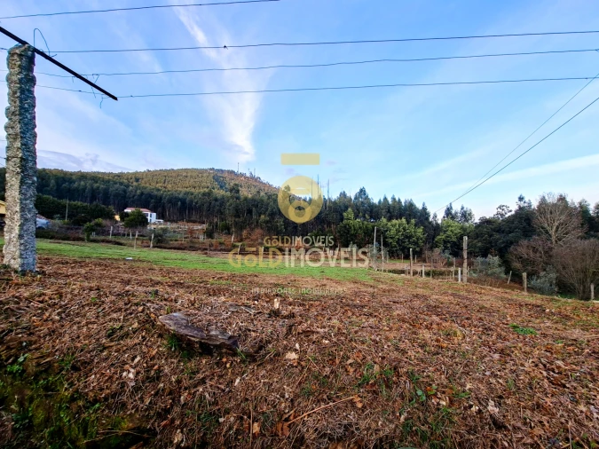 Quinta T0 para Venda em Santa Maria de Sardoura Foto 2