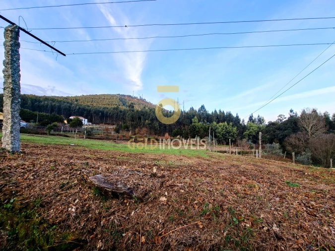 Quinta T0 para Venda em Santa Maria de Sardoura Foto 2