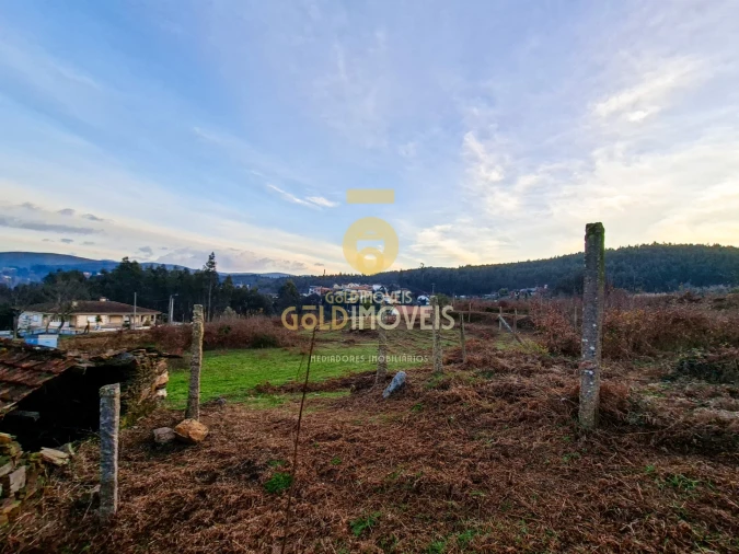 Quinta T0 para Venda em Santa Maria de Sardoura Foto 22