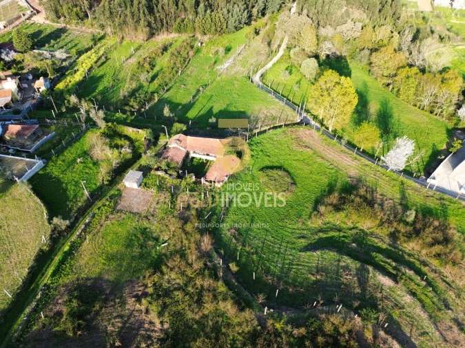 Quinta T0 para Venda em Santa Maria de Sardoura Foto 34
