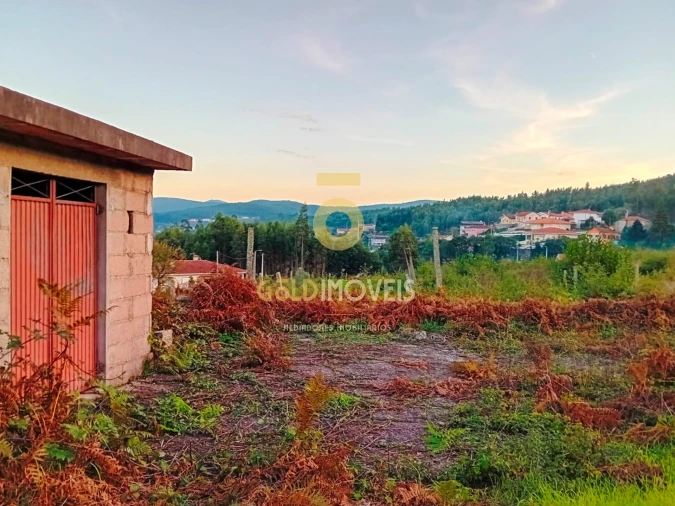 Quinta T0 para Venda em Santa Maria de Sardoura Foto 11