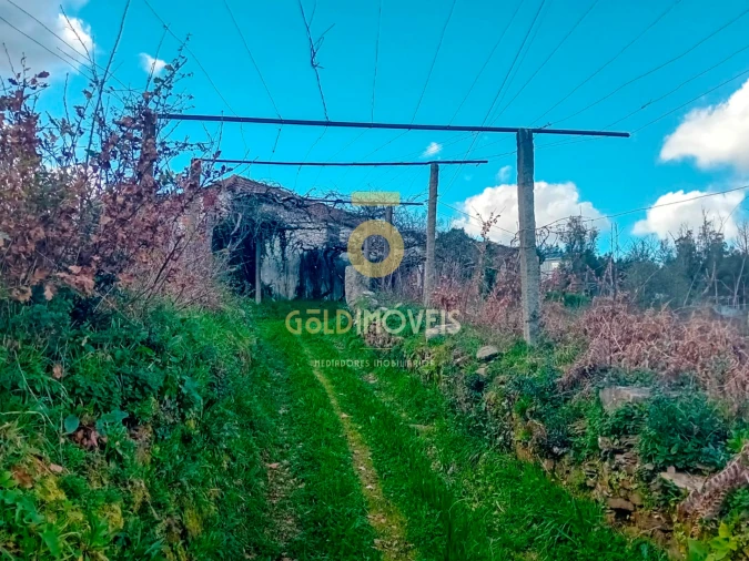 Quinta T0 para Venda em Santa Maria de Sardoura Foto 9