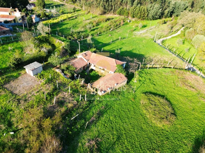 Quinta T0 para Venda em Santa Maria de Sardoura Foto 28