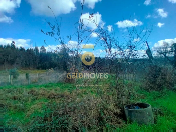 Quinta T0 para Venda em Santa Maria de Sardoura Foto 5
