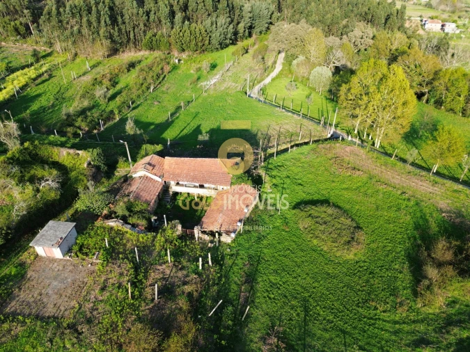 Quinta T0 para Venda em Santa Maria de Sardoura