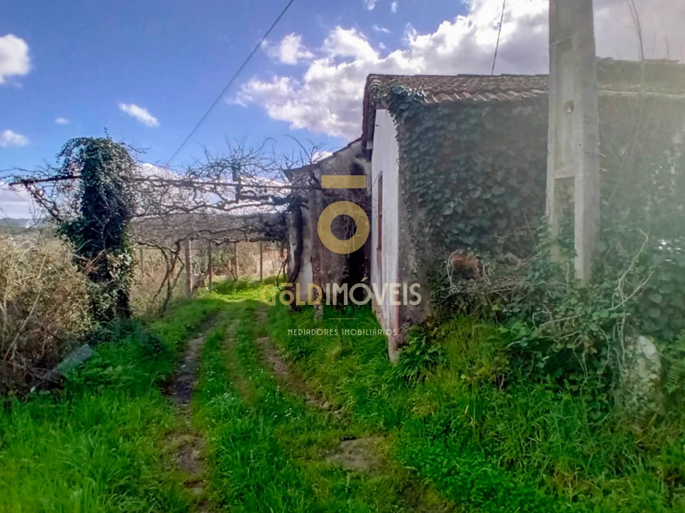 Quinta T0 para Venda em Santa Maria de Sardoura Foto 17