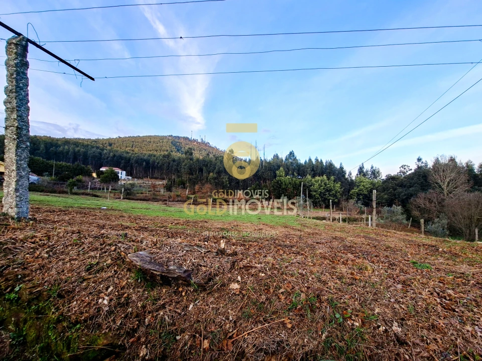 Quinta T0 para Venda em Santa Maria de Sardoura Foto 2