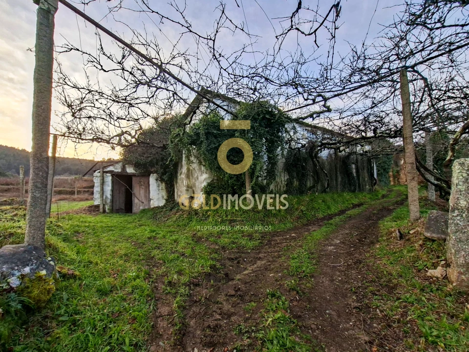 Quinta T0 para Venda em Santa Maria de Sardoura Foto 4