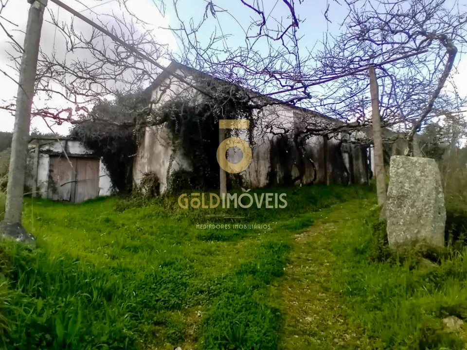 Quinta T0 para Venda em Santa Maria de Sardoura Foto 6