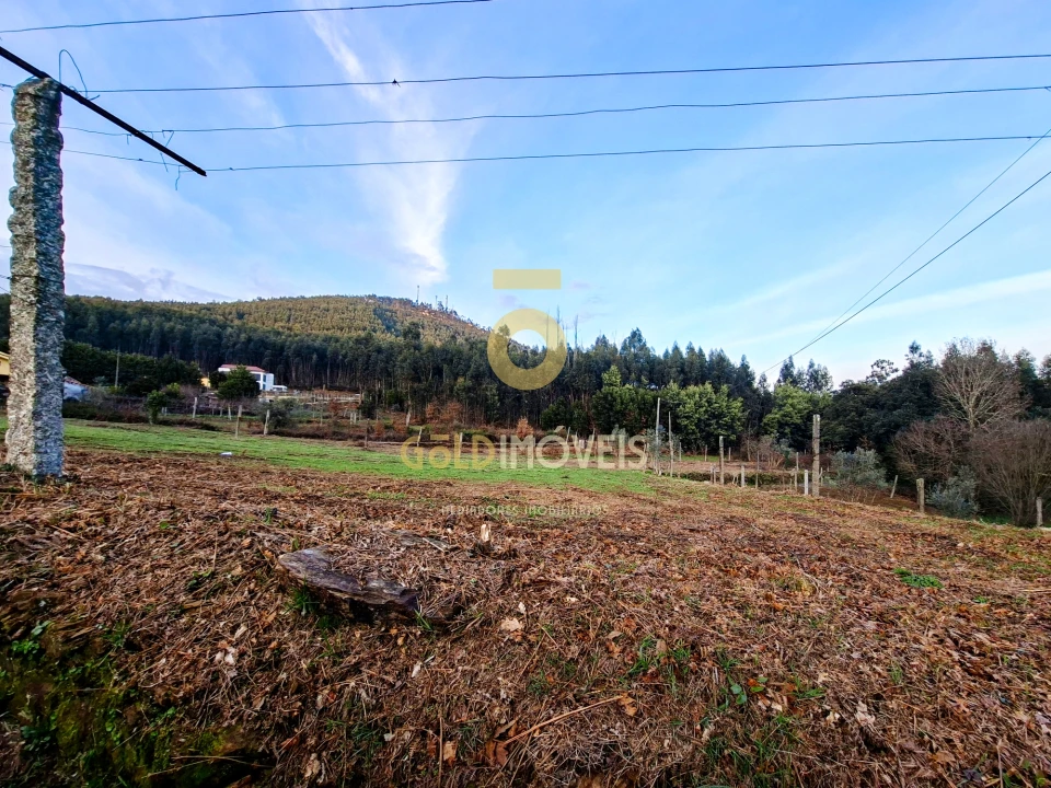 Quinta T0 para Venda em Santa Maria de Sardoura Foto 2