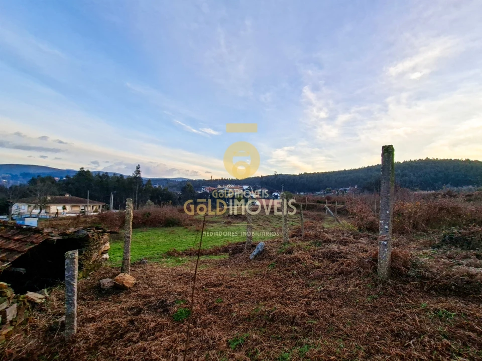 Quinta T0 para Venda em Santa Maria de Sardoura Foto 22