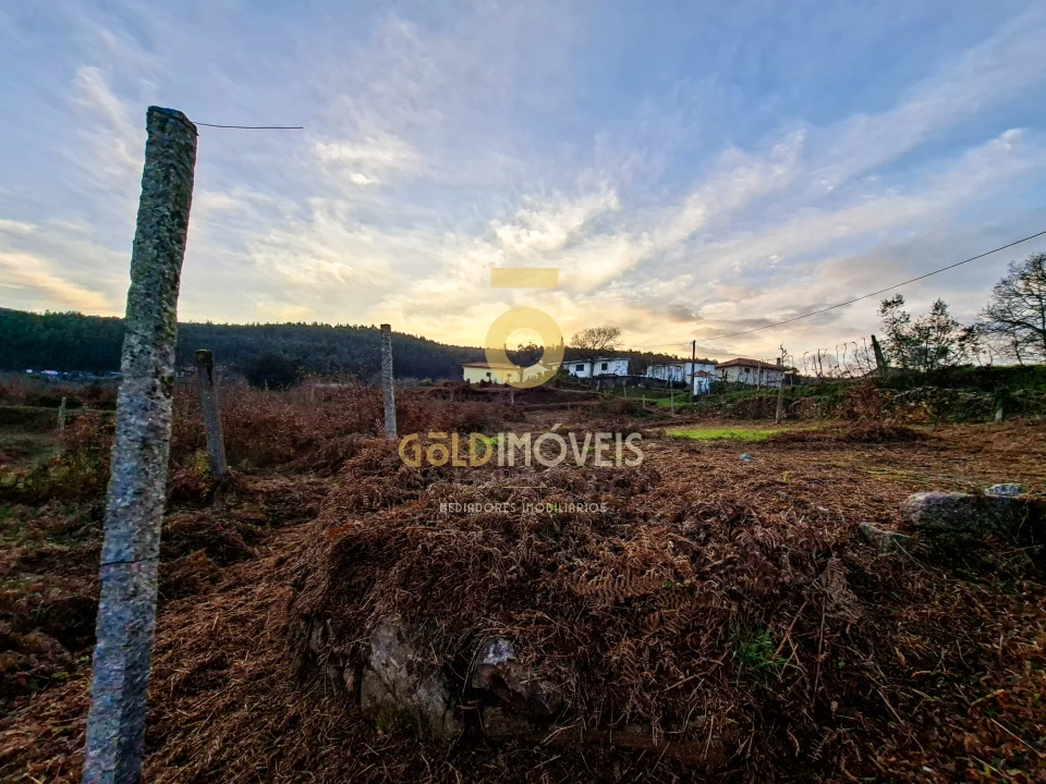 Quinta T0 para Venda em Santa Maria de Sardoura Foto 22