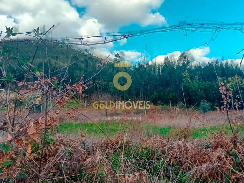 Quinta T0 para Venda em Santa Maria de Sardoura Foto 26