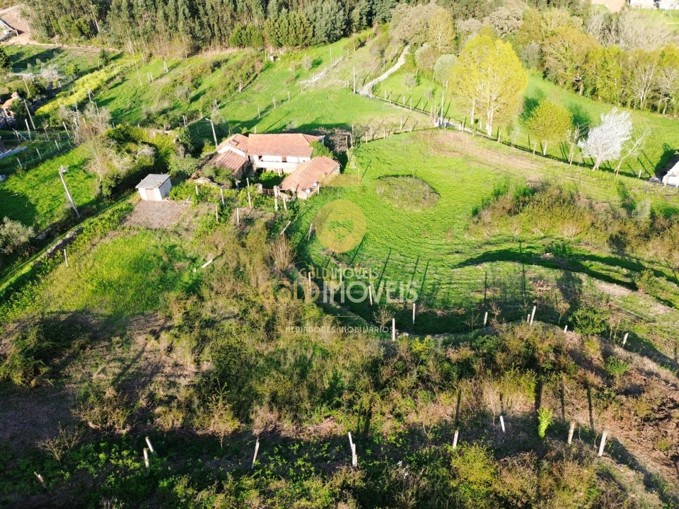 Quinta T0 para Venda em Santa Maria de Sardoura Foto 29