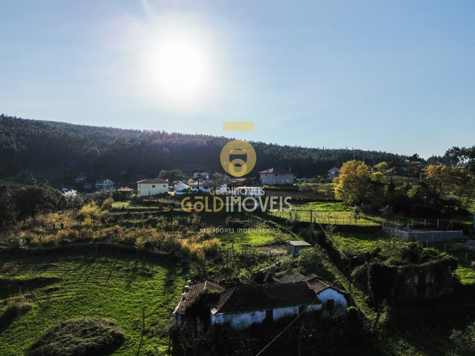 Quinta T0 para Venda em Santa Maria de Sardoura Foto 26