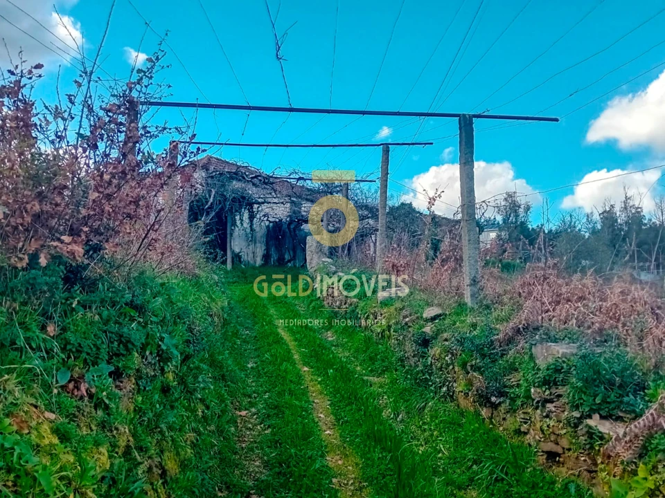 Quinta T0 para Venda em Santa Maria de Sardoura Foto 9