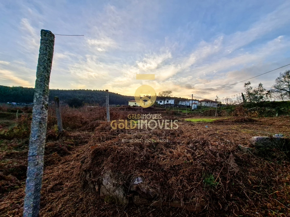 Quinta T0 para Venda em Santa Maria de Sardoura Foto 23