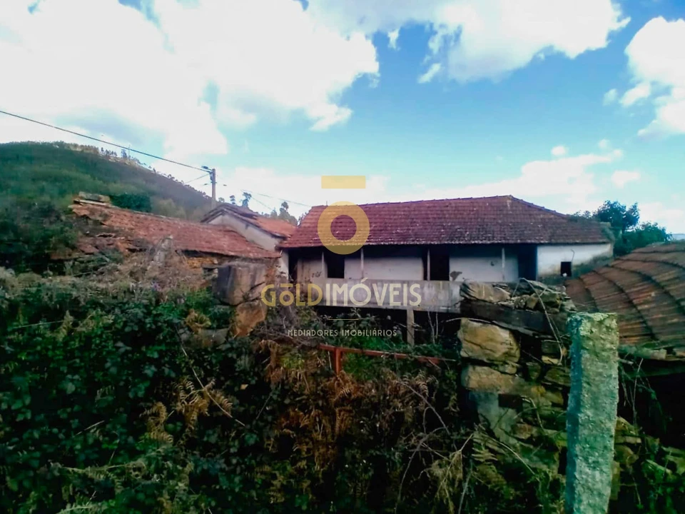Quinta T0 para Venda em Santa Maria de Sardoura Foto 8