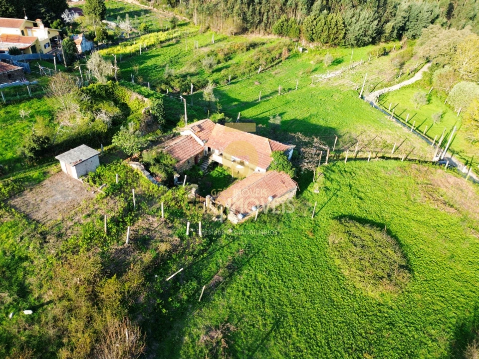Quinta T0 para Venda em Santa Maria de Sardoura Foto 28