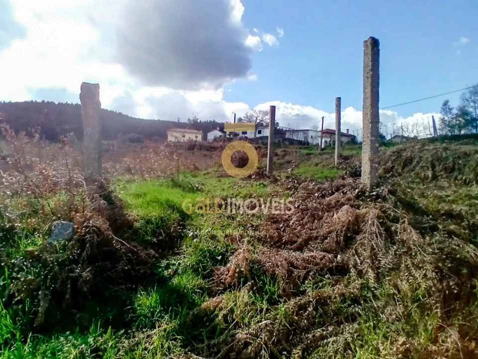 Quinta T0 para Venda em Santa Maria de Sardoura Foto 23