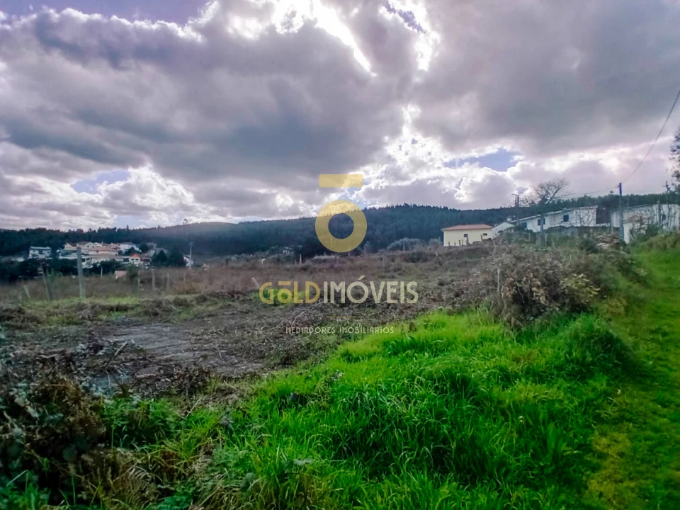 Quinta T0 para Venda em Santa Maria de Sardoura Foto 14