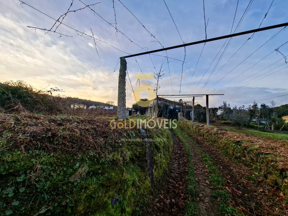 Quinta T0 para Venda em Santa Maria de Sardoura Foto 3