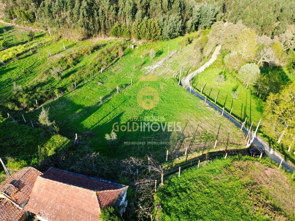 Quinta T0 para Venda em Santa Maria de Sardoura Foto 27