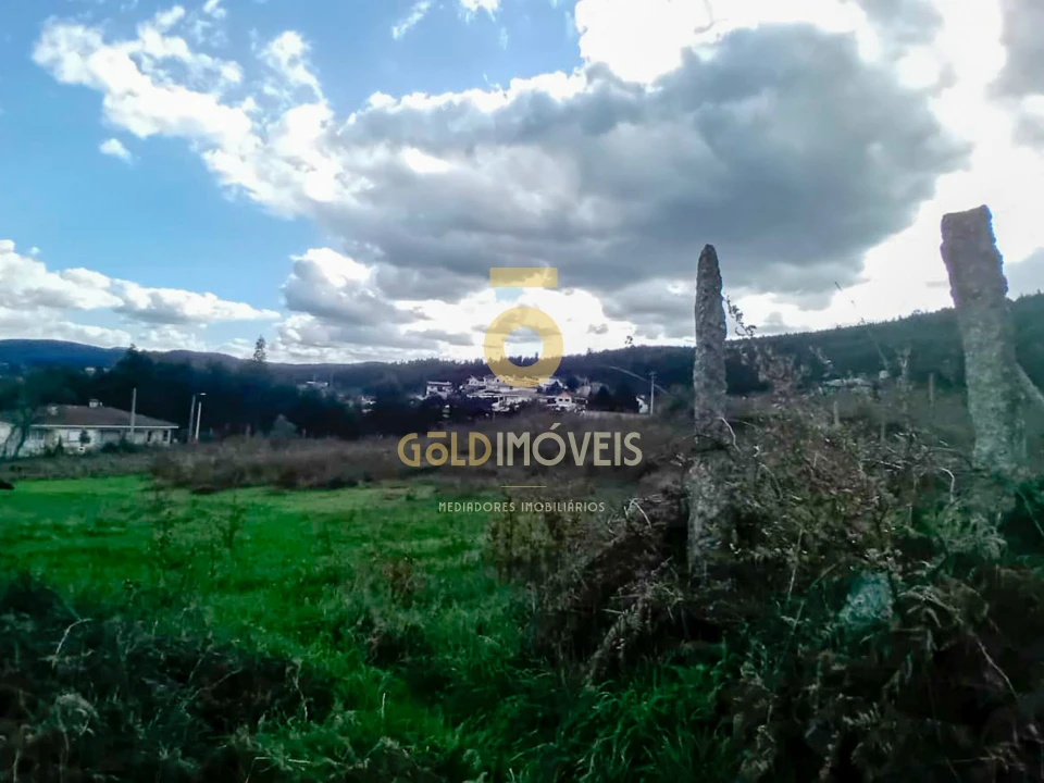 Quinta T0 para Venda em Santa Maria de Sardoura Foto 18