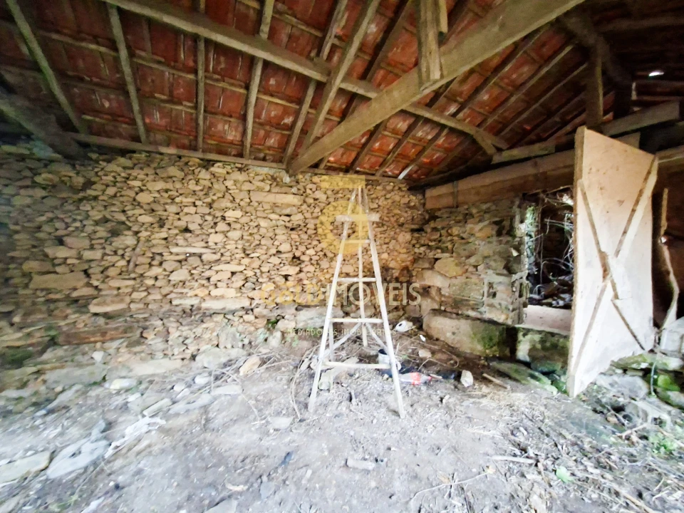 Quinta T0 para Venda em Santa Maria de Sardoura Foto 6