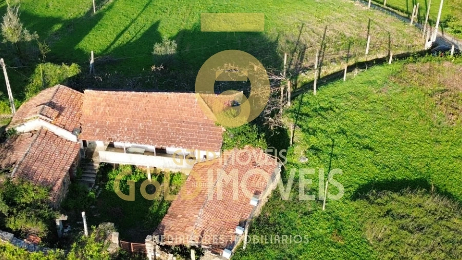 Quinta T0 para Venda em Santa Maria de Sardoura