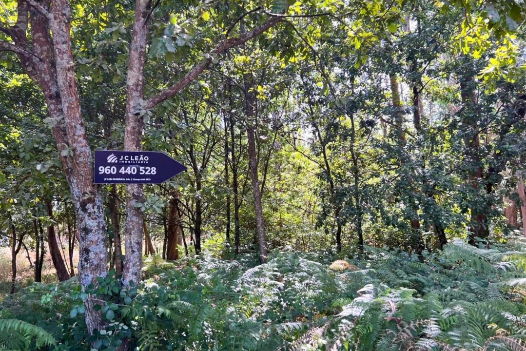 Terreno Agricola ou Rústico para Venda em Sanfins Lamoso Codessos Foto 1