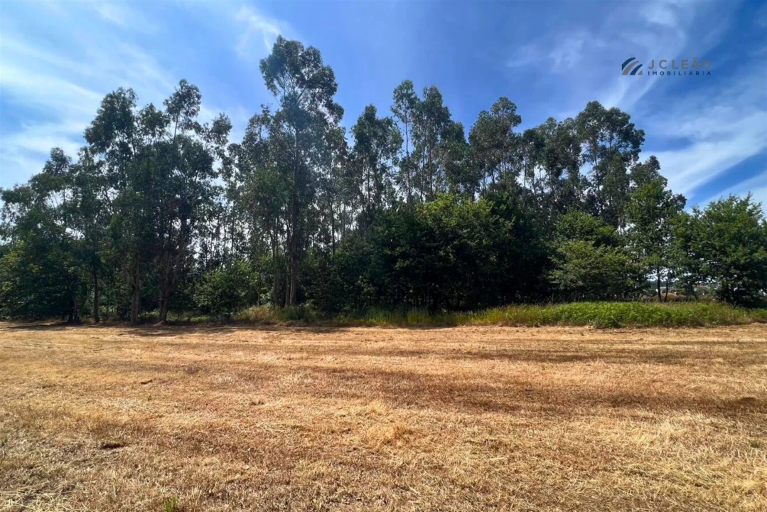 Terreno Agricola ou Rústico para Venda em Sanfins Lamoso Codessos Foto 5