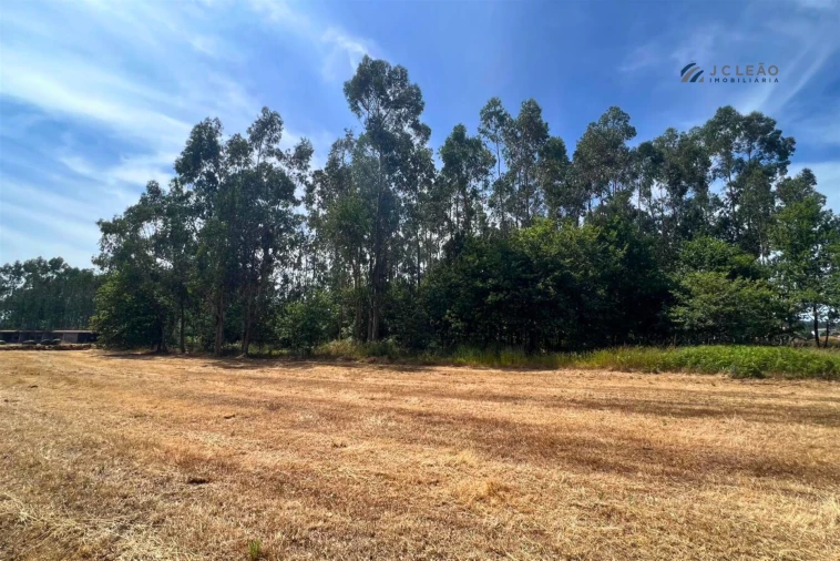 Terreno Agricola ou Rústico para Venda em Sanfins Lamoso Codessos Foto 2