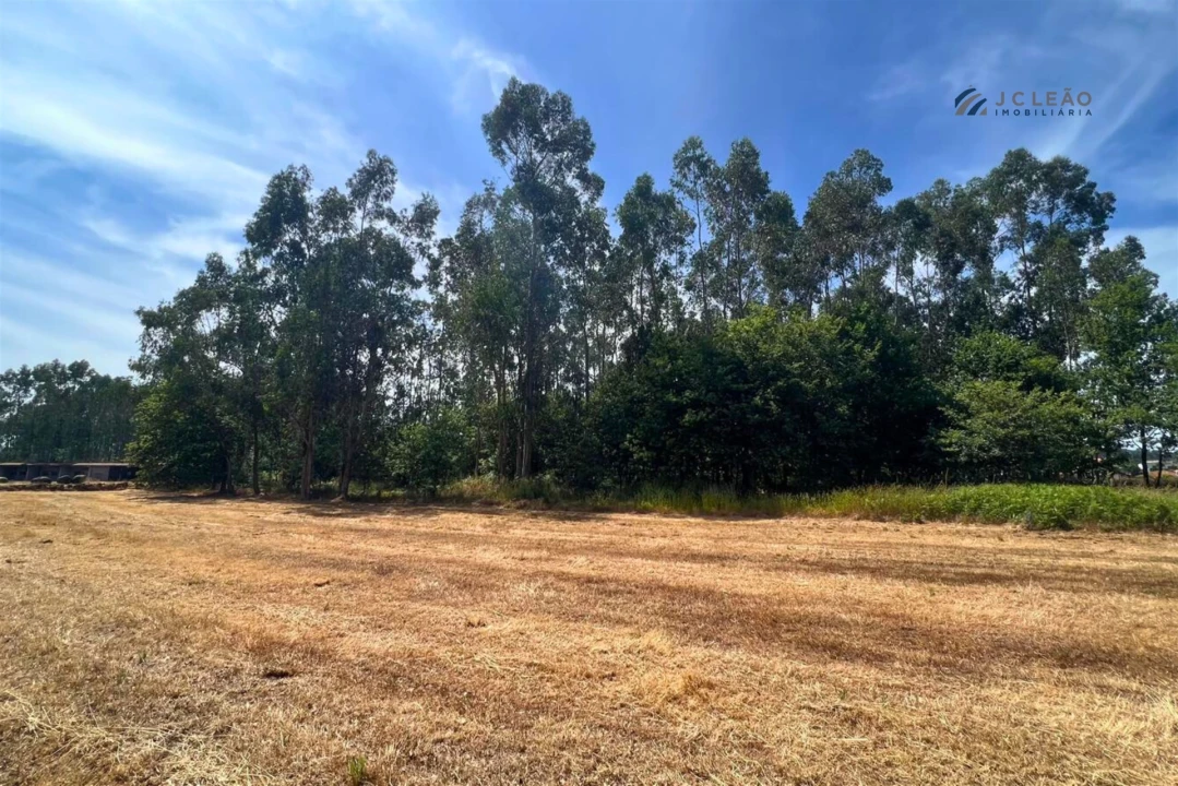 Terreno Agricola ou Rústico para Venda em Sanfins Lamoso Codessos Foto 2