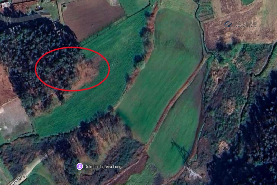 Terreno Agricola ou Rústico para Venda em Sanfins Lamoso Codessos Foto 8