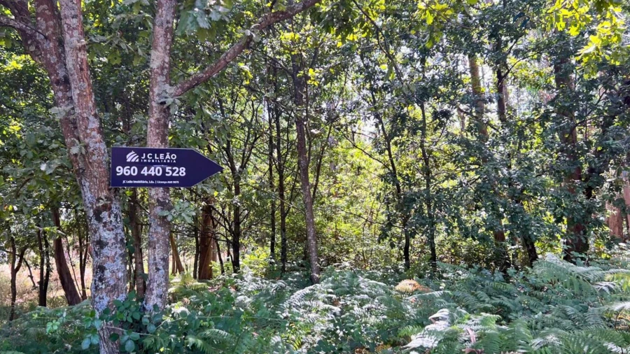 Terreno Agricola ou Rústico para Venda em Sanfins Lamoso Codessos
