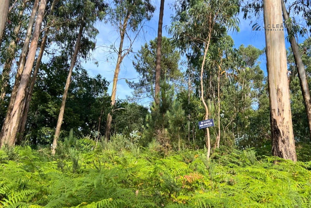 Terreno Agricola ou Rústico para Venda em Sanfins Lamoso Codessos Foto 5