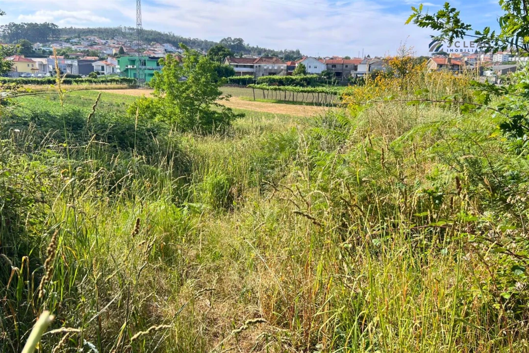 Terreno Agricola ou Rústico para Venda em Sanfins Lamoso Codessos Foto 9