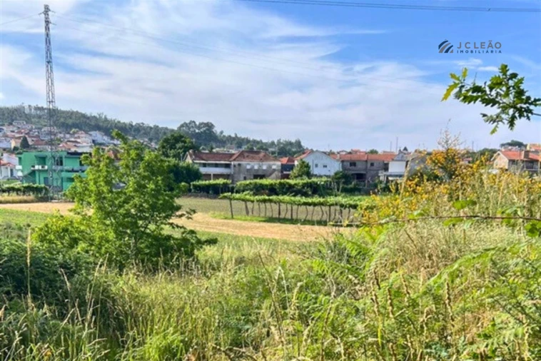 Terreno Agricola ou Rústico para Venda em Sanfins Lamoso Codessos Foto 11