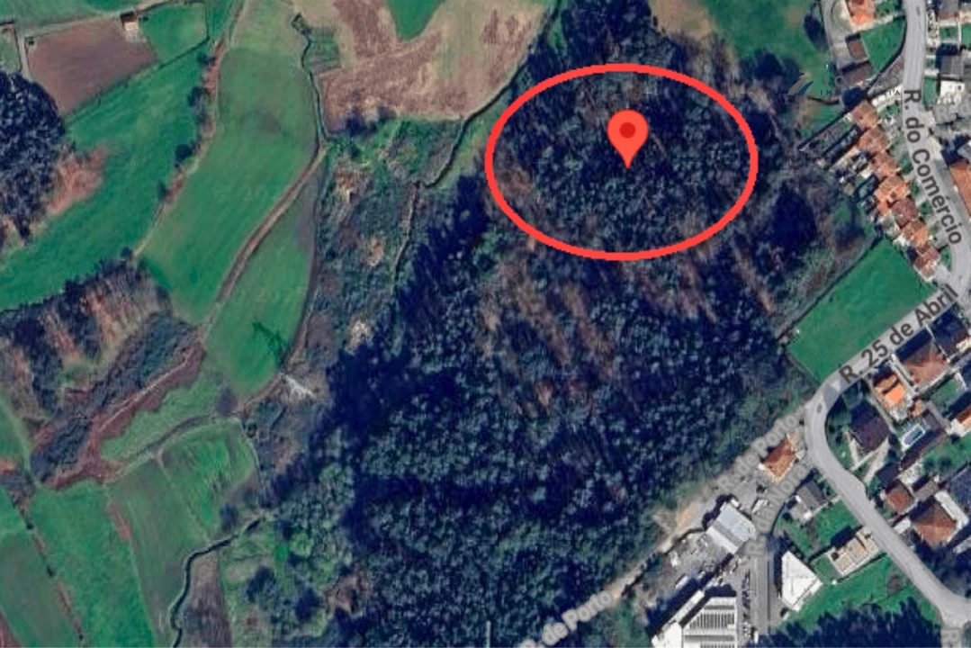 Terreno Agricola ou Rústico para Venda em Sanfins Lamoso Codessos Foto 13