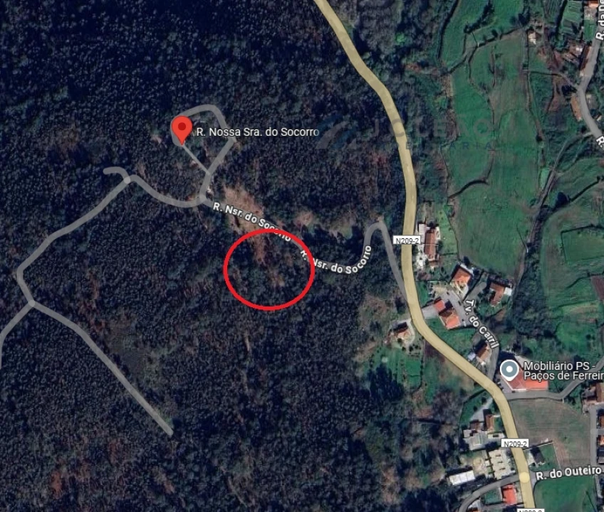 Terreno Agricola ou Rústico para Venda em Sanfins Lamoso Codessos Foto 17