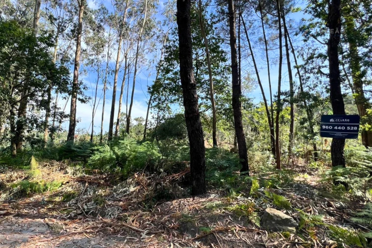 Terreno Agricola ou Rústico para Venda em Sanfins Lamoso Codessos Foto 11